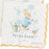 Peter Rabbit Guardanapos