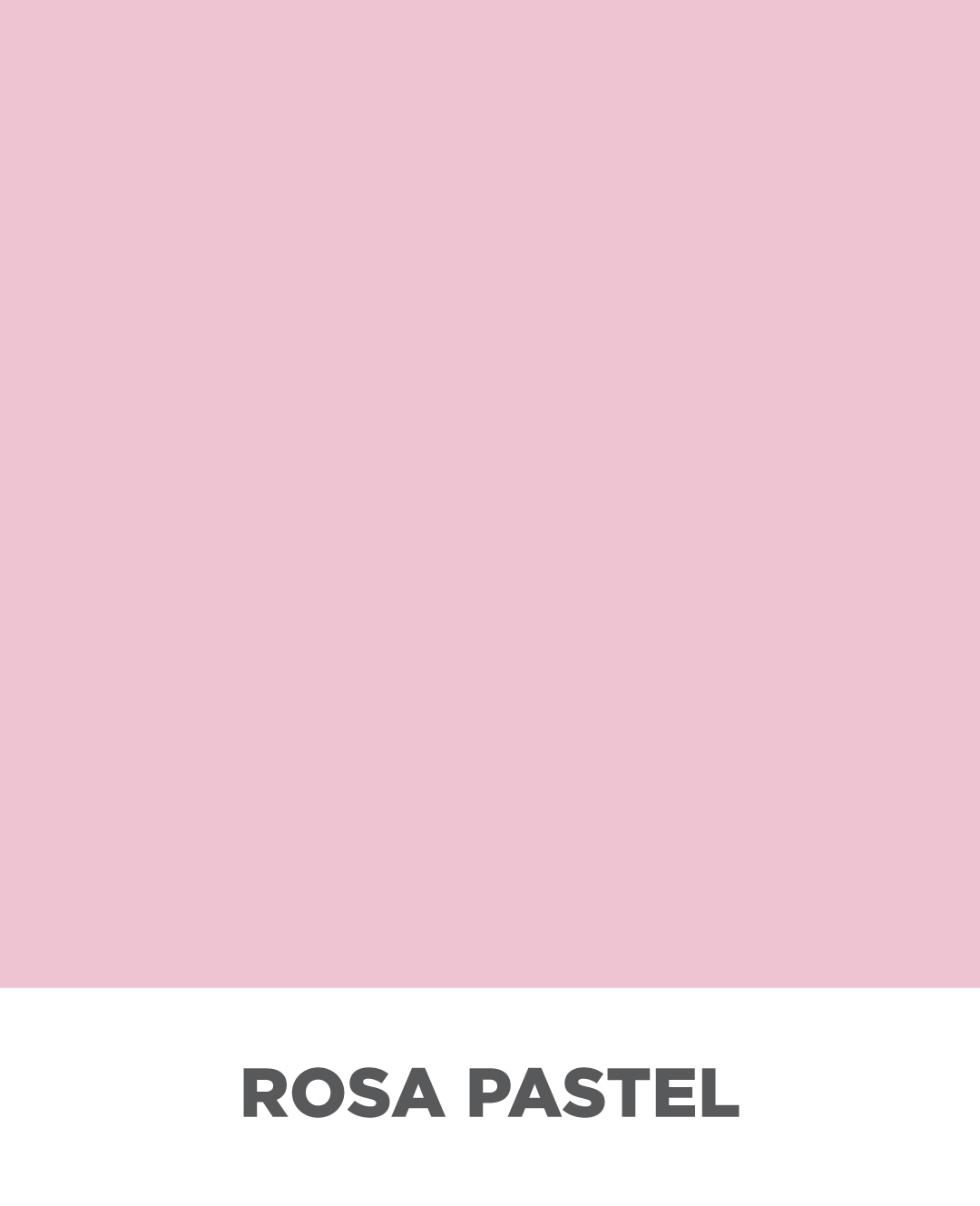 ROSA PASTEL
